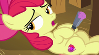 Apple Bloom "Wonderful World of Cleaning" S8E12
