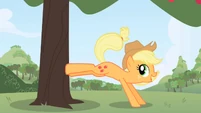 Applejack bucking a tree in opening theme.png (336 KB) Applejack during the opening theme.