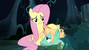 Fluttershy comforting Zephyr Breeze S6E11