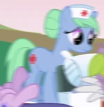 Nurse Tenderheart ID S1E04