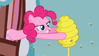 Pinkie Pie x beehive S3E8