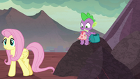 Spike starts to knit while Fluttershy leaves S9E9