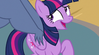 Twilight Sparkle "who doesn't like prizes?" S7E22