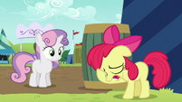Apple Bloom puts her hoof on her face S5E17
