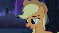 Applejack 'Why don't you sit' S3E06