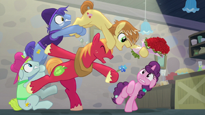 Big Mac and Feather Bangs with Flowers S7E8