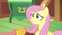 Fluttershy looking embarrassed at Discord S6E17