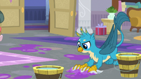 Gallus cleaning the messy floor S8E16