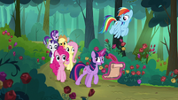 Main ponies walk through the Everfree Forest S8E13