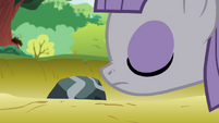 Maud sniffing the rock S4E18