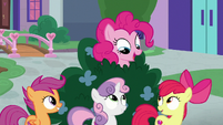 Pinkie Pie pops out of the bushes S8E12