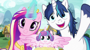 Princess Cadance, Flurry Heart, and Shining Armor S7E3