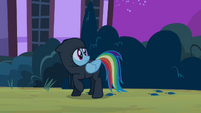 Rainbow Dash ninja S2E16