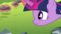 Twilight levitating rocks S4E18