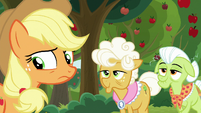 Applejack looks behind at Goldie's cats S9E10