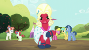 Big Mac disguised as "Orchard Blossom" in Brotherhooves Social.