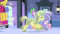 Crystal royal guards pick up Spike S4E24