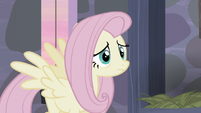 Fluttershy's smile turns into a frown S5E02