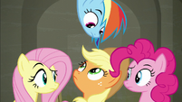 Fluttershy, Dash, AJ, and Pinkie exchange confused glances S6E9