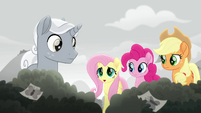 Fluttershy "none of the butterflies are" MLPRR