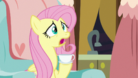 Fluttershy "what's going on?" S7E12