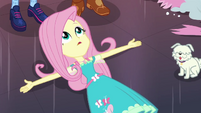 Fluttershy looking up at Applejack EGDS23