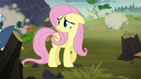 Fluttershy looks concerned at the fighting S5E23