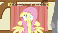 Fluttershy scared in front of the curtains S5E21