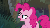 Pinkie Pie -she just wants us to- S8E13