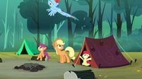 Rainbow Dash flying upwards S3E06