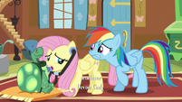 Rainbow biting her lip while Fluttershy examines Tank S5E5