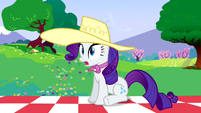 Rarity what? S2E25