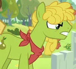 Shiny Pear ID S7E13
