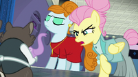Snooty Fluttershy scolding the raccoons S8E4