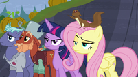 Twilight and Fluttershy not amused S5E23