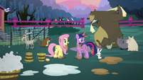Twilight and Fluttershy surrounded by clean animals S5E3