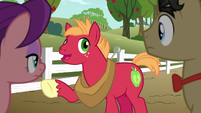 Young Big McIntosh telling his cutie mark story S6E23