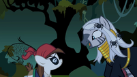 Zecora talking to Pipsqueak S2E04