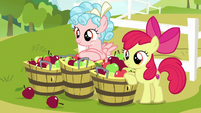 Apple Bloom and Cozy with buckets of apples S8E12