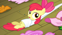 Apple Bloom being dragged S3E4