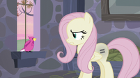 Equal sign cutie mark influencing Fluttershy S5E02