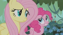 Fluttershy and Pinkie Pie worried S1E09