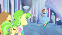 Rainbow Dash leading the way