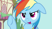 Rainbow Dash "say no more!" S03E13