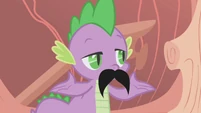 Spike saying that Rarity didn't like the mustache.