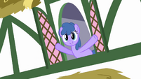 Window ponies 2 S2E18