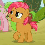 Babs Seed .png