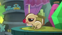 Chipmunk with a stuffy nose S7E20.png (755 KB)