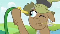 Mr. Greenhooves looking into hose S2E19