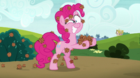 Pinkie covered in stingbush seed pods S7E4